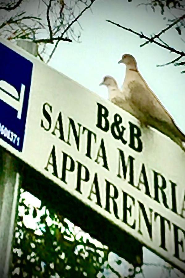 Monolocali B&B Santa Maria Apparente Civitanova Marche Buitenkant foto
